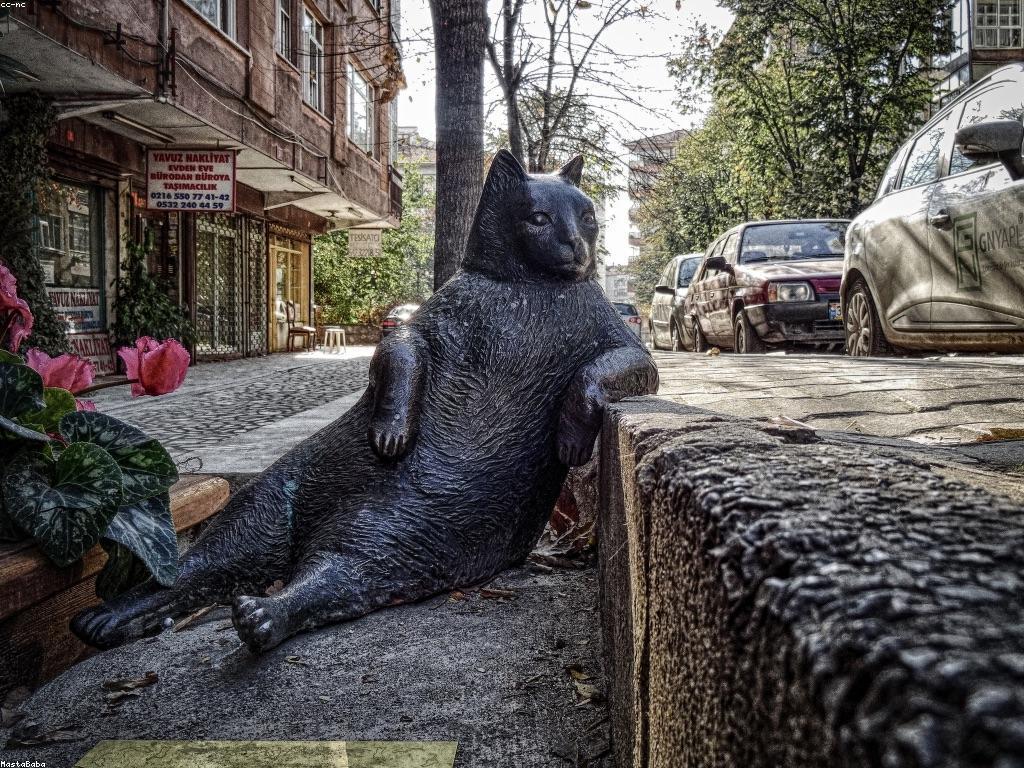 ករណីជោគជ័យក្នុងការសហការអាជីវកម្ម