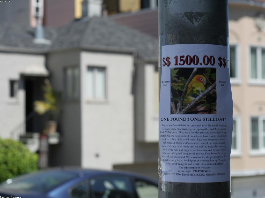 ចំណេះដឹងអំពីប្រព័ន្ធប្រាក់រង្វាន់ក្នុងទីផ្សារ